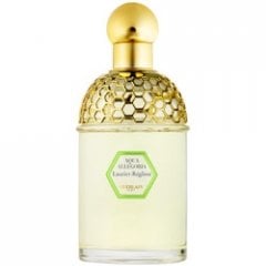 Aqua Allegoria Laurier-Réglisse